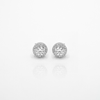Classic Moissanite & Zirconia Earrings