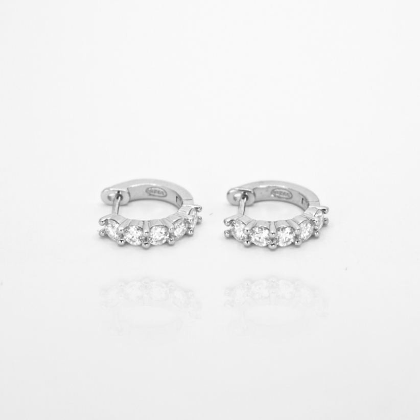 Rivh Moissanite Hoop Earrings